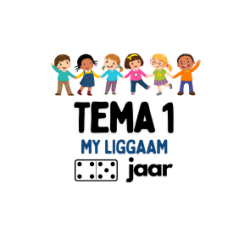 Tema 1 -  My Liggaam