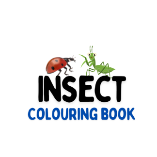Insect colouring book